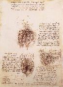 LEONARDO da Vinci, Gekrose of the intestine and its Gefabsystems